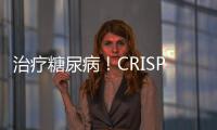 治療糖尿病！CRISPR編輯細胞替代療法步入臨床