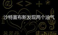 沙特宣布新發現兩個油氣田 將繼續通過開挖油氣井等方式再評估其儲量