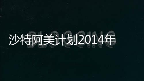 沙特阿美計劃2014年天然氣日生產(chǎn)155億立方英尺