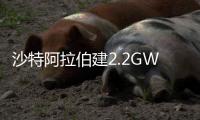 沙特阿拉伯建2.2GW太陽能發電廠為綠色氫項目供電