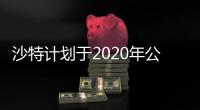 沙特計劃于2020年公布首個核反應堆招標細則