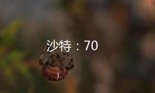 沙特：70