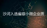 沙河入選省級小微企業質量管理體系認證提升行動區域試點