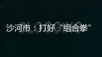 沙河市：打好“組合拳” 服務企業發展