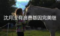 沈月沒有浪費(fèi)基因完美繼承了美貌因子成為了顏值沒有崩的星二代