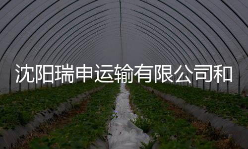 沈陽瑞申運輸有限公司和沈陽申瑞軟件科技公司的情況說明