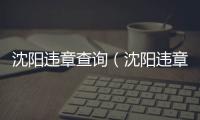 沈陽違章查詢（沈陽違章查詢）