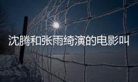 沈騰和張雨綺演的電影叫什么