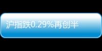 滬指跌0.29%再創半年新低 個股現跌停潮