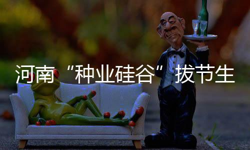 河南“種業(yè)硅谷”拔節(jié)生長(zhǎng)丨“兩城一谷”探創(chuàng)新