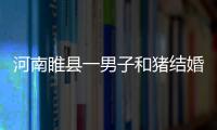 河南睢縣一男子和豬結(jié)婚 為了流量，不擇手段？