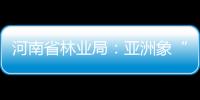 河南省林業(yè)局：亞洲象“莫莉”已送往昆明動物園