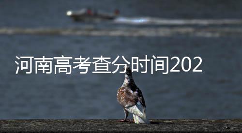 河南高考查分時(shí)間2021年具體時(shí)間（2021河南高考什么時(shí)候查成績(jī)）