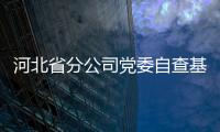 河北省分公司黨委自查基層黨支部基礎資料