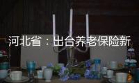 河北省：出臺養(yǎng)老保險新政策