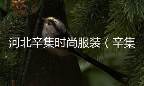 河北辛集時尚服裝（辛集服飾）