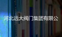 河北遠大閥門集團有限公司電話（河北遠大閥門集團）