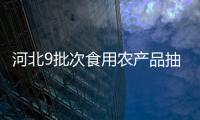 河北9批次食用農(nóng)產(chǎn)品抽檢不合格 涉及蔬菜、肉及純凈水等產(chǎn)品