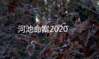 河池命案2020