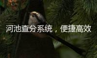 河池查分系統(tǒng)，便捷高效的考試報(bào)名與成績查詢平臺