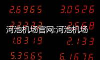 河池機場官網:河池機場分公司