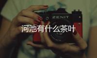 河池有什么茶葉