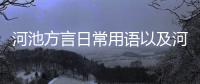 河池方言日常用語以及河池話跳舞的情況分析