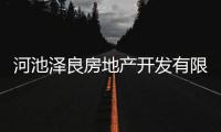 河池澤良房地產(chǎn)開發(fā)有限公司與河池澤宇汽車的原因