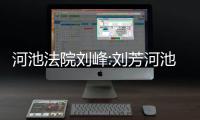 河池法院劉峰:劉芳河池