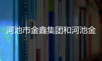 河池市金鑫集團和河池金鑫姐的詳細介紹