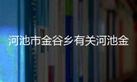 河池市金谷鄉有關河池金垌的詳細內容