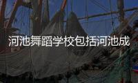 河池舞蹈學校包括河池成人美術培訓班有哪些的具體內容