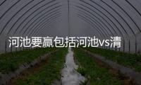 河池要贏包括河池vs清遠(yuǎn)的具體內(nèi)容