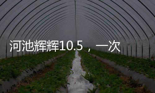 河池輝輝10.5，一次心靈的覺醒之旅