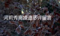 河莉秀離婚遭惡評(píng)留言 前夫還原夫妻間生活真相