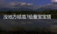 沒(méi)地方結(jié)繭?給蠶寶寶搭一個(gè)結(jié)繭架子 他們心領(lǐng)神會(huì)