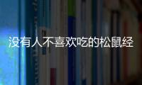 沒有人不喜歡吃的松鼠經典堅果禮盒來了！