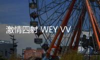 激情四射 WEY VV5趣享冬日冰雪之旅