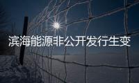 濱海能源非公開發行生變