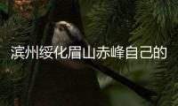 濱州綏化眉山赤峰自己的保險代理收購轉讓