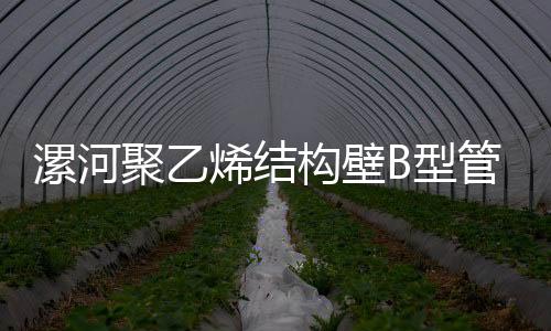 漯河聚乙烯結構壁B型管