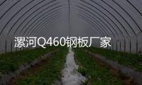 漯河Q460鋼板廠家