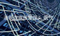 液氨泄露報警探頭 氨氣NH3固定式氣體檢測儀