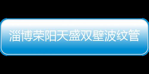 淄博榮陽天盛雙壁波紋管廠家批發