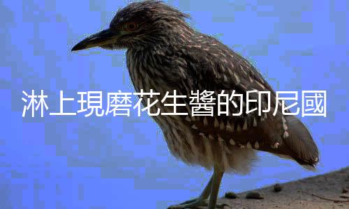 淋上現磨花生醬的印尼國民沙拉「加多加多」，不愛蔬菜者也保證會愛上