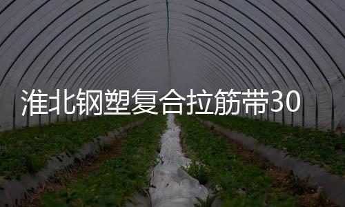 淮北鋼塑復合拉筋帶30020B生產廠家