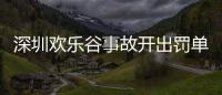 深圳歡樂谷事故開出罰單 兩公司被罰50萬元