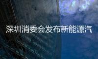 深圳消委會(huì)發(fā)布新能源汽車消費(fèi)調(diào)查結(jié)果