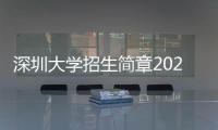 深圳大學招生簡章2021藝術類(深圳大學2020年藝術類專業校考招生簡章)