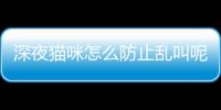 深夜貓咪怎么防止亂叫呢？深夜貓咪怎么防止亂叫聲